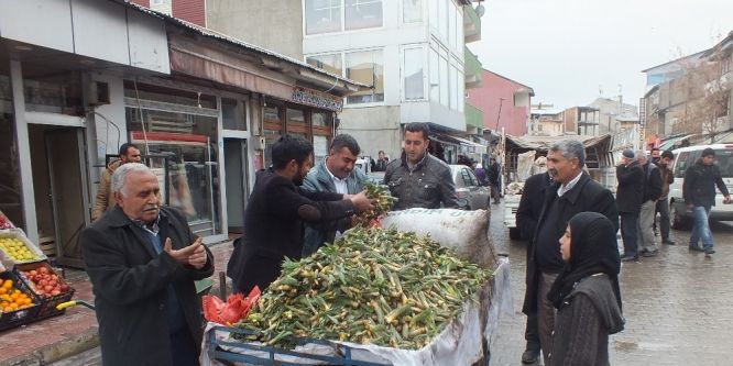 Gulik otu geçim kaynağı oldu