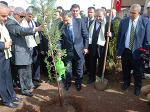 3 milyon 691 bin hektarlık alan ağaçlandırıldı