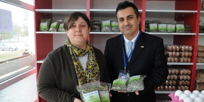 Şifalı çaylar Uludağ Üniversitesi’nden