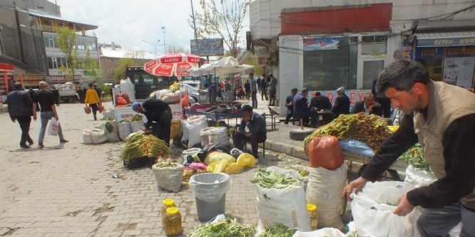 Dağdan topladıkları otları satarak geçimlerini sağlıyorlar