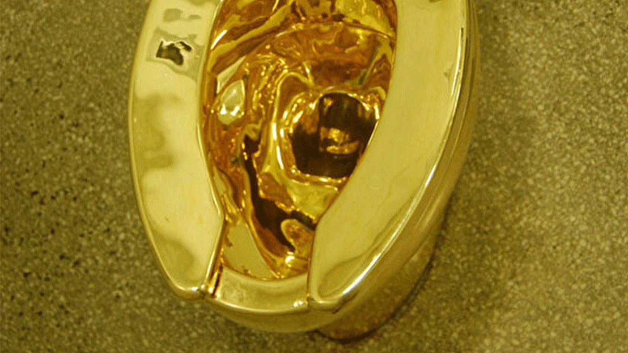 4,8 milyon sterlinlik klozet ülkeyi karıştırdı: Kaşla göz arasında çaldılar!