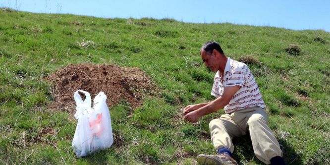 Yozgat’ta madımak zamanı