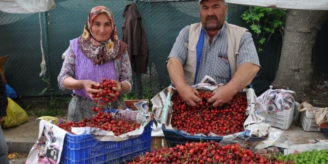 Simav kirazı pazardaki yerini aldı