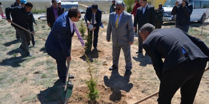 7 bin 500 fidan toprakla buluşturuldu