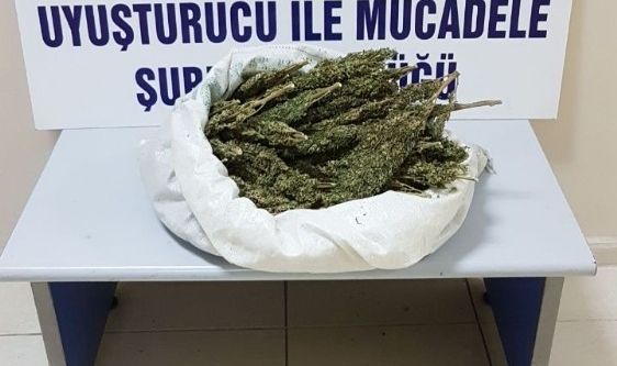 1 kilo 900 gram esrar ele geçirildi