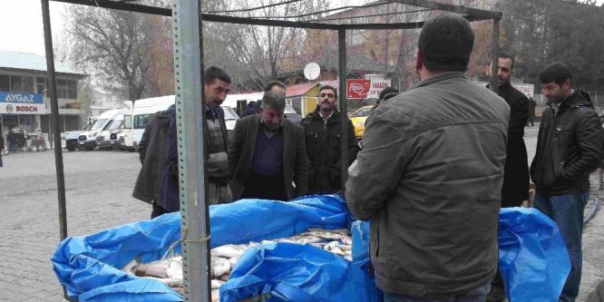 Vatandaşlar balığa yöneldi