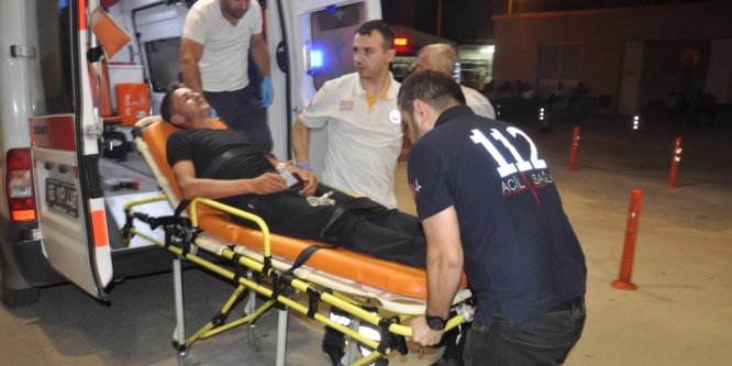 Arılar hastanelik etti