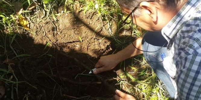 Ceviz üreticilerine eğitim verildi