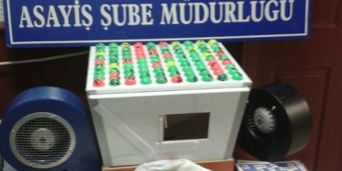 Eskişehir’de tombala baskınında 13 bin lira ceza