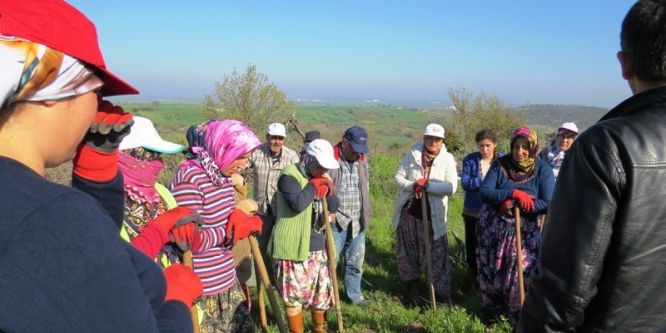 İŞKUR işçileri işe başladı
