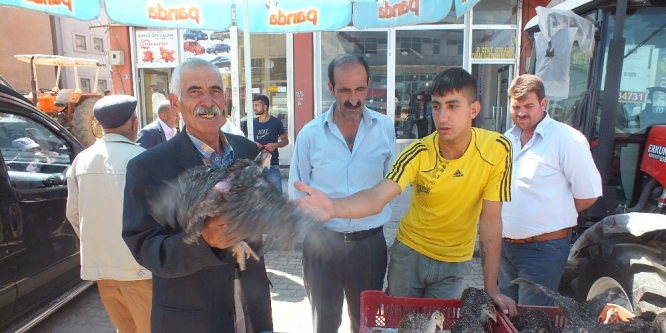 Malazgirt’te hindi satışları başladı