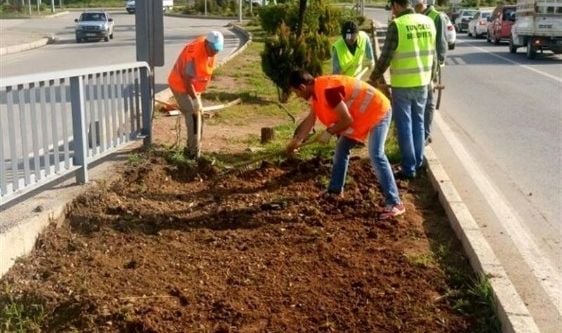 Tunceli’de çiçeklendirme çalışması