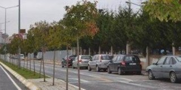 Aracını park etmek için ağaç söken kadın sürücüye hapis