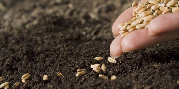 '5 bin 553' Türk çiftçisini perişan etti!