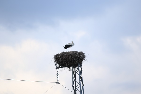 5 bin km yol gelerek ata yurduna döndüler