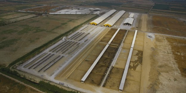 5 bin konutun elektriği hayvan gübresinden