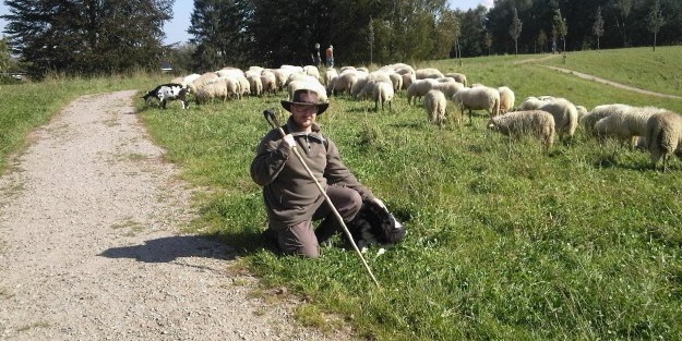 5 bin lira maaşla çoban aranıyor