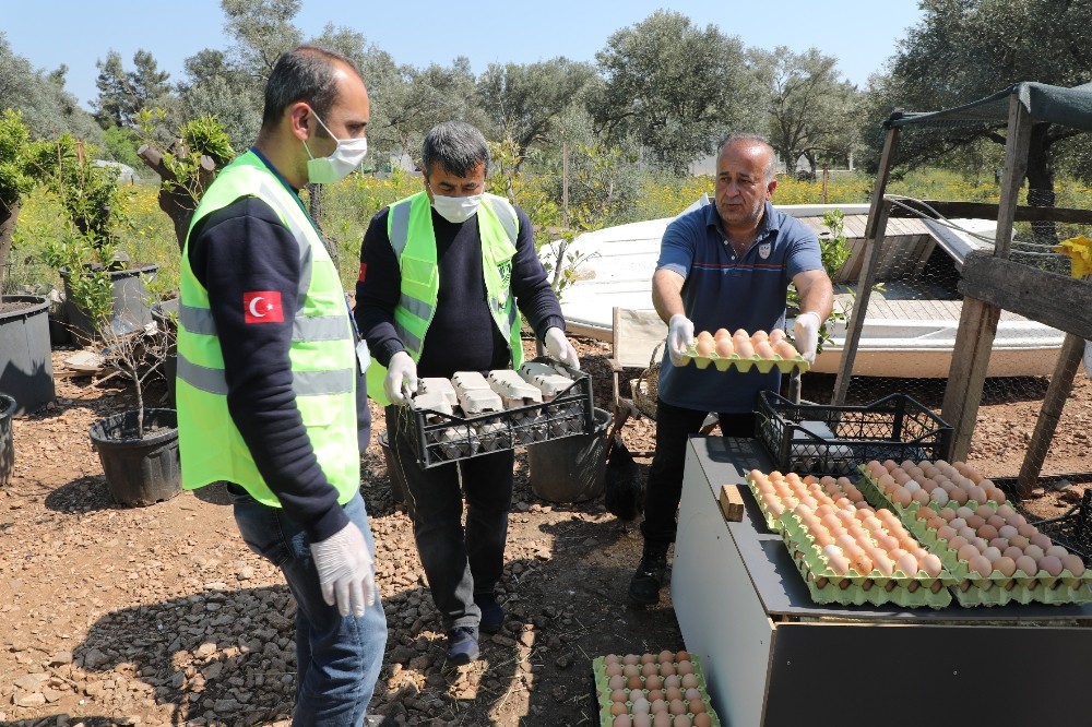 5 bin yumurtayı ücretsiz dağıttı 