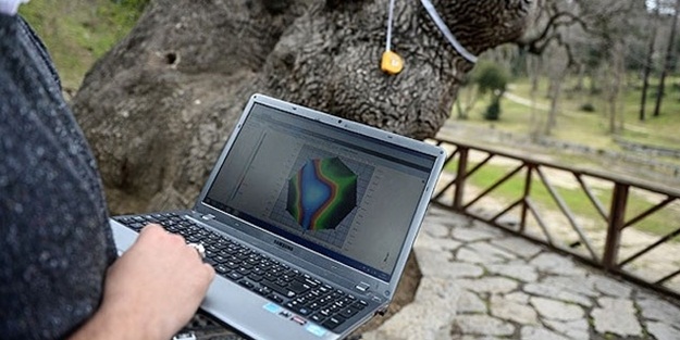 Ağaçlara MR çekildi