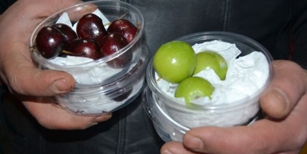 5 çeyrek altın fiyatına 1 kilo erik!