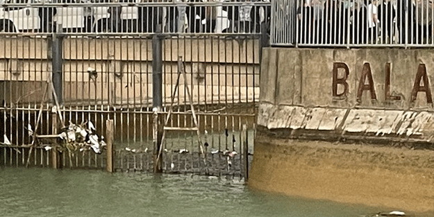 5 gündür aranıyordu! Cesedi sulama kanalında bulundu