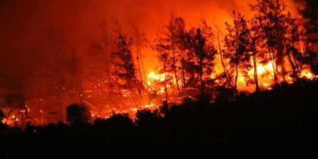 5 ildeki yangınlarda 3 bin 583 kişi tahliye edildi
