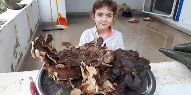 5 kilo 700 gramlık dev mantar, görenleri şaşkına çevirdi