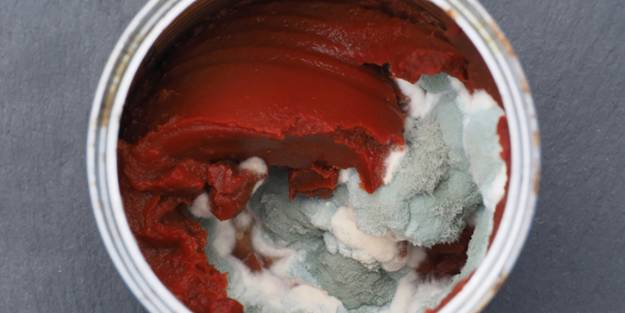 5 maddede salçada küf oluşumunu engellemenin yolu