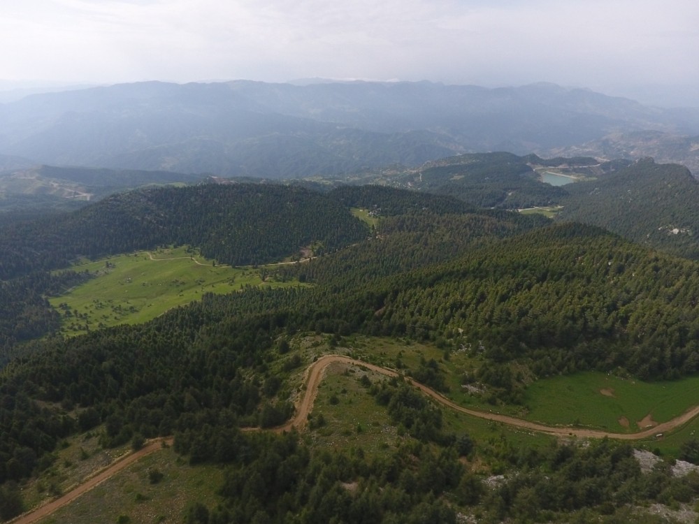 5 milyon 96 bin 286 adet fidan toprakla buluştu 