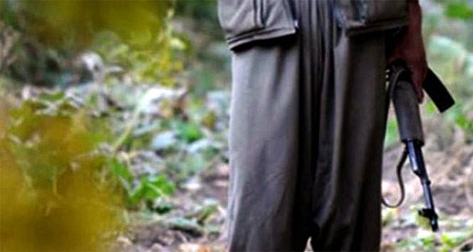 5 PKK'lı terörist etkisiz hale getirildi