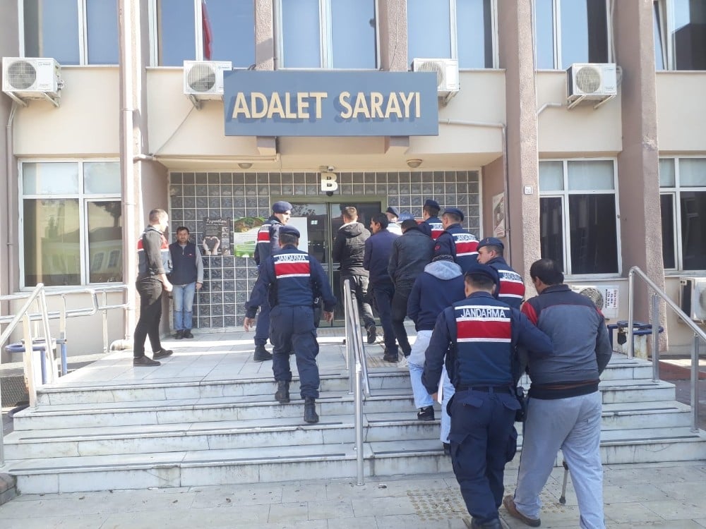 5 ton zeytini çalıp yağını sıktılar 