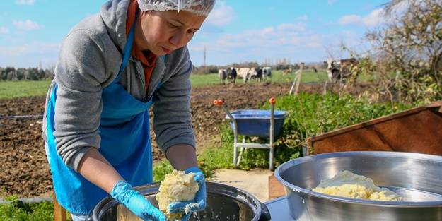 5 yıldızlı otelleri bırakıp yerleştiği köyde doğal ürünler üretiyor