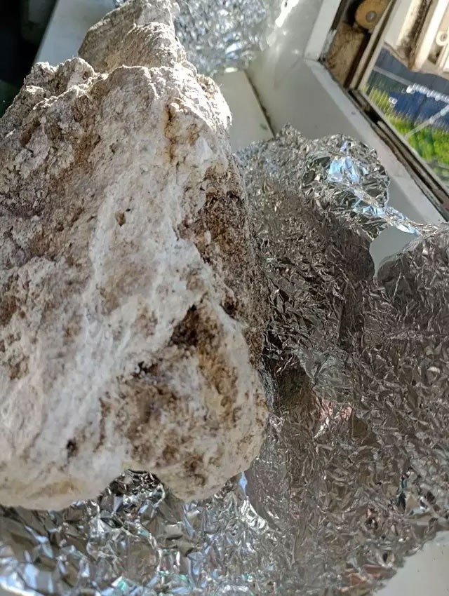 50 bin dolarlık hüsran! Balina kusmuğu sanılıyordu! Dünyası başına yıkıldı