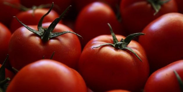 50 bin ton Türk domatesi Rusya'ya gidiyor