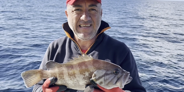 50 yıl sonra ilk kez Kuzey Ege’de ortaya çıktı