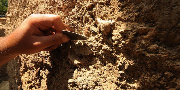 500 atı diri diri...