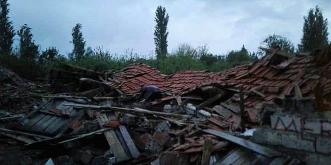 20 hayvan telef oldu