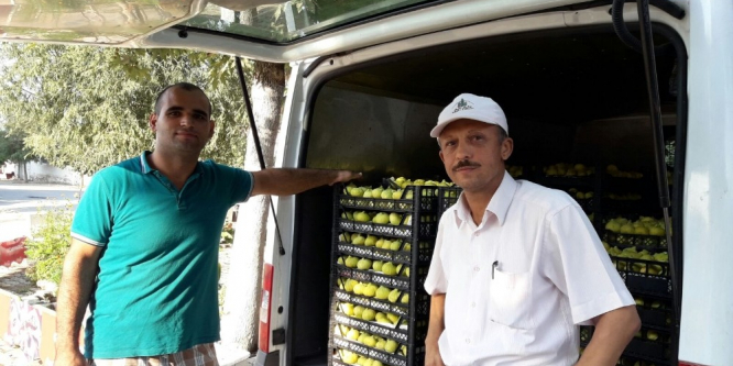 Yaş incirde piyasa hızlandı