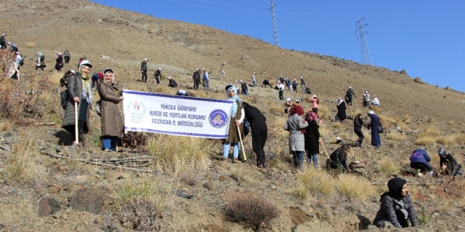 Erzincan’da her KYK’lı bir fidan dikti