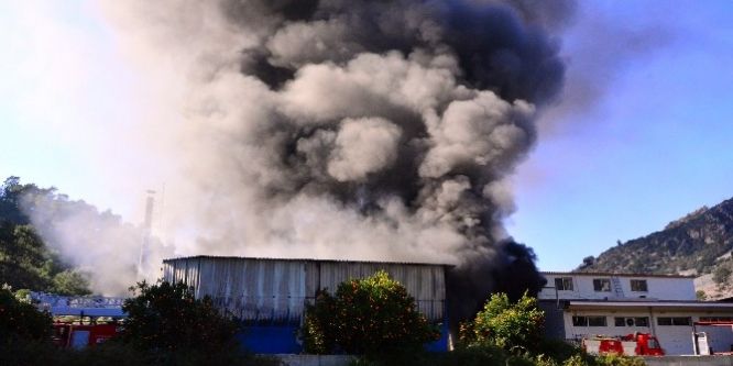 Süt ürünleri fabrikasında yangın çıktı