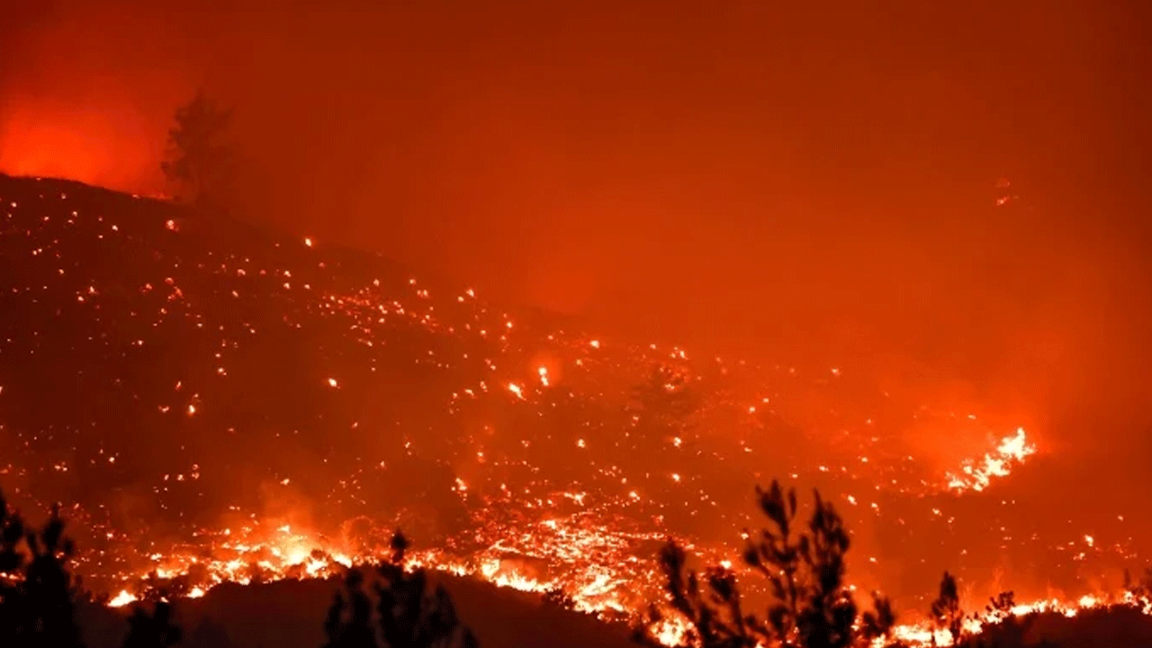 53 ev ve 15 bin dönüm orman kül olmuştu: Mersin’i yakan patron ve 3 kaynakçısı tutuklandı
