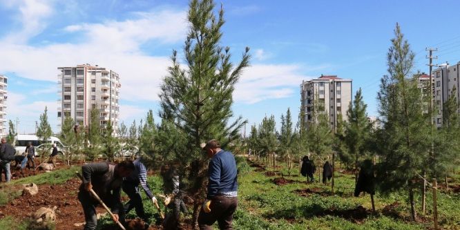 Bağlar Belediyesinden yeni yeşil alanlar