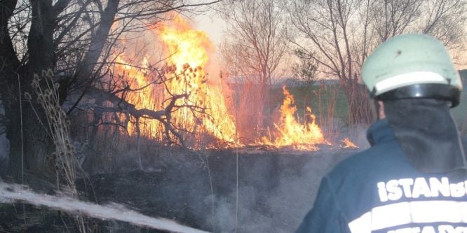 Tavşanlı’da arazide yangını