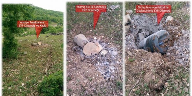 Eğitimli köpekler buldu, güvenlik güçleri imha etti