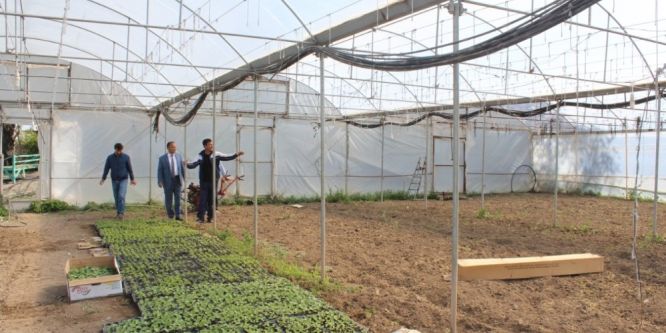 Tarım müdürü Yolcu seraları dolaştı