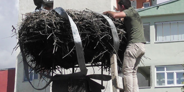 54 yıllık leylek yuvasını böyle taşıdılar