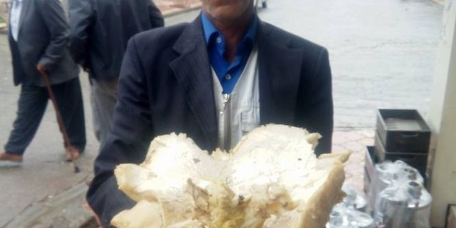 5 kilogramlık mantar görenleri hayrete düşürdü