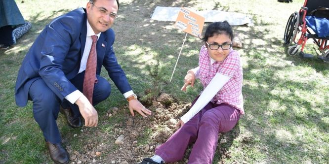 Engelliler ağaç dikti