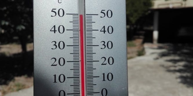 Sıcak hava bunalttı