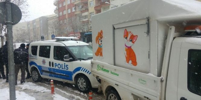 Eve kilitlenerek ölüme terk edilen köpeği itfaiye ekipleri kurtardı